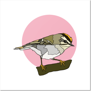 Golden Crowned Kinglet Posters and Art